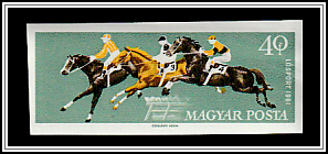 Steeplechase