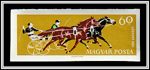 Harness Racing