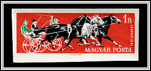 Harness Racing