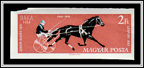 Racehorse Baka