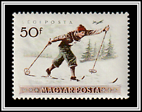 Cross-country Skiing