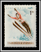 Ski Jumping