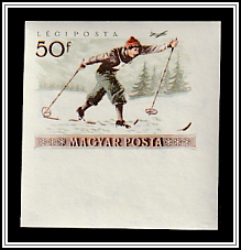 Cross-country Skiing