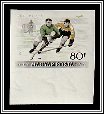 Ice Hockey