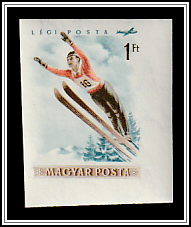 Ski Jumping