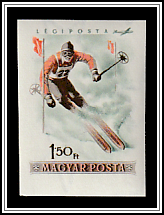 Slalom
