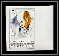 Dr Robert Koch