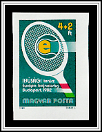 Tennis Racket