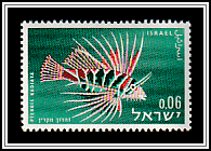 Clearfin Lionfish (Pterois radiata)