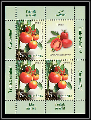 Tomato (Solanum lycopersicum)