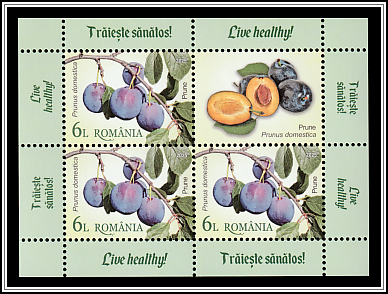 Plums (Prunus domestica)
