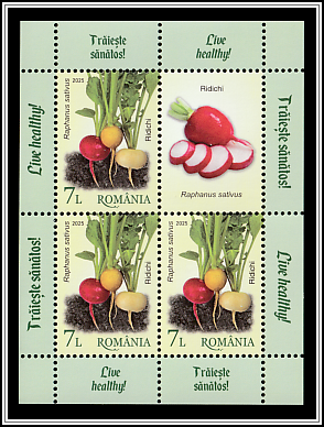 Radishes (Raphanus sativus)