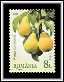 Pears (Pyrus communis)