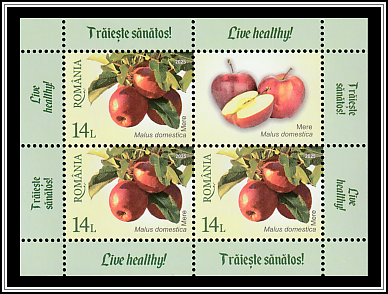 Apples (Malus domestica)