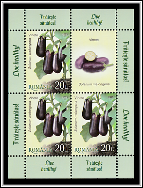 Eggplant (Solanum melongena)
