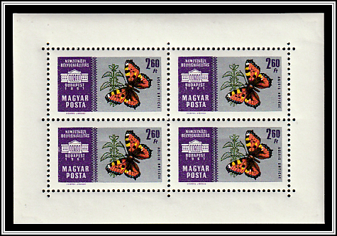 Small Tortoiseshell (Aglais urticae)