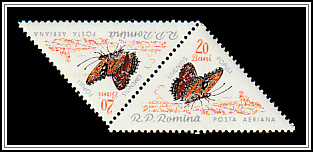 Poplar Admiral (Limenitus populi)