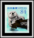 Sea Otter (Enhydra lutris)