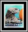 Sea Otter (Enhydra lutris)