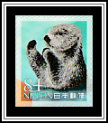 Sea Otter (Enhydra lutris)