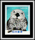 Sea Otter (Enhydra lutris)