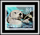 Sea Otter (Enhydra lutris)