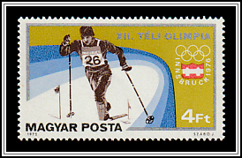 Cross-country Skiing