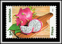 Dragon Fruit