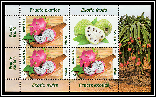 Dragon Fruit, Cherimoya