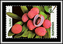 Lychee