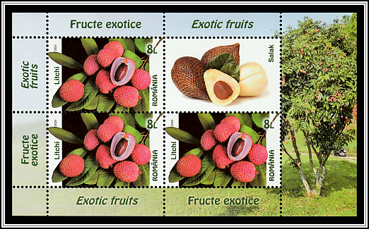 Lychee, Salak