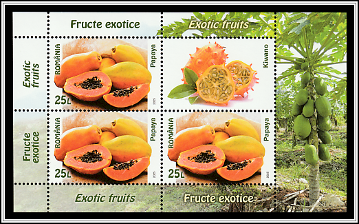 Papaya, African Horned Cucumber
