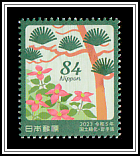 Southern Japanese Red Pine, Japanese Dogwood