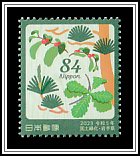 Southern Japanese Red Pine, Daimyo Oak, Amur Honeysuckle