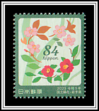 Sargent's Cherry, Wild Camellia