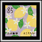 Lemon (Citrus limon)