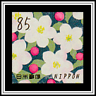Apple Blossom (Malus sp.)