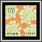 Carrot (Daucus carota)