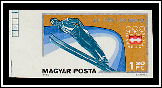 Ski Jumping
