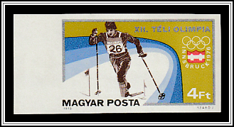 Cross-country Skiing