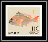 Sea Bream