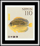 Shimahagi
