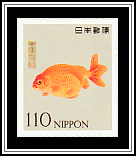 Ranchū Goldfish