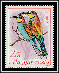 Bee-eater (Merops apiaster)