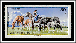 Herdsman with Grazing Horses