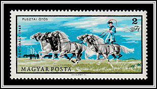 Puszta-style Training for Five-horse Wagon