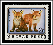 Fox (Vulpes vulpes)