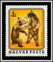 Brown Bears (Ursus arctos)