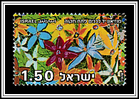 Children's Drawing of Flowers from the Memorial Wall <i>Yad Lebanim</i> Museum, Petah Tikva