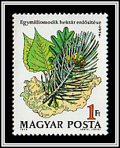 Forest Map of Hungary, Leaves & Pine Needles